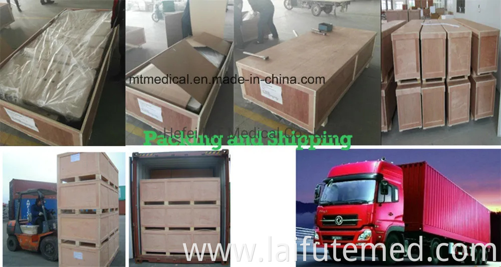 Stainless Steel Animal Hospital Medical Equipment ICU Intensive Care Unit Stainless Steel Veterinary Cages Vet Oxygen Cage for Animals